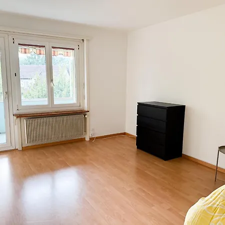 2 Schlafzimmer-wohnung - Budgetfreundliche Firmenunterkunft * ベルン